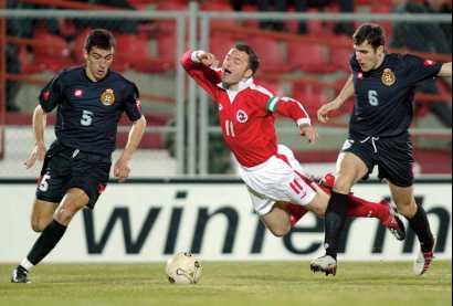 Нырок Шапюиза