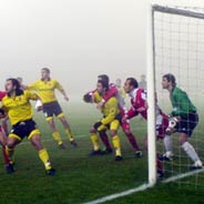 ������ �������� ������ ���