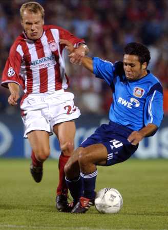 ���������� - �����