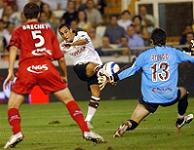 � ����� �������